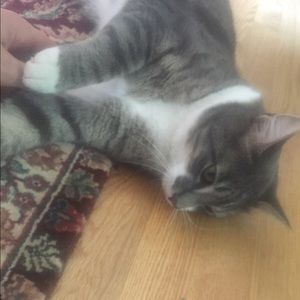 Meet your Posher, Carl